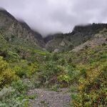 Este es el recorrido más misterioso de Canarias: seres luminosos, criaturas aladas y esferas brillantes en el cielo