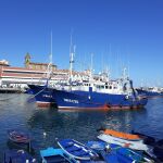 Economía.- El Gobierno abre la pesquería de caballa para buques distintos al arrastre y al cerco en Cantabria y A Coruña