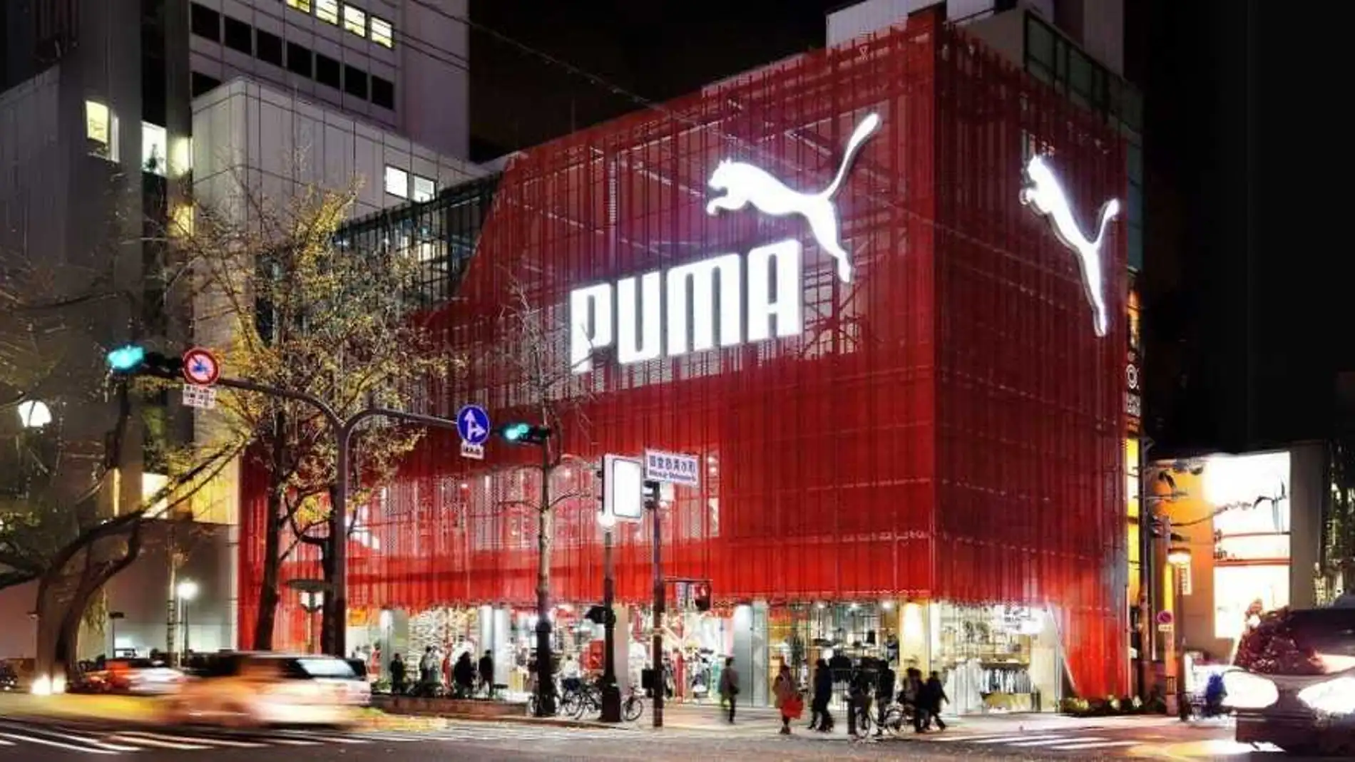 Puma Anzarun Lite