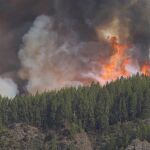 Incendios.- El fuego arrasa 843 hectáreas en enero en España, un 77,23% menos que en 2024