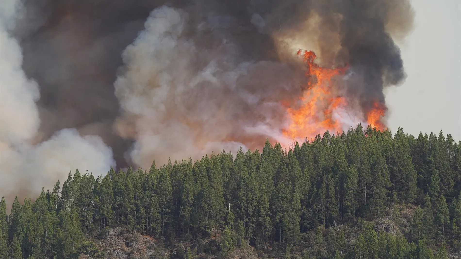 Incendios.- El fuego arrasa 843 hectáreas en enero en España, un 77,23% menos que en 2024