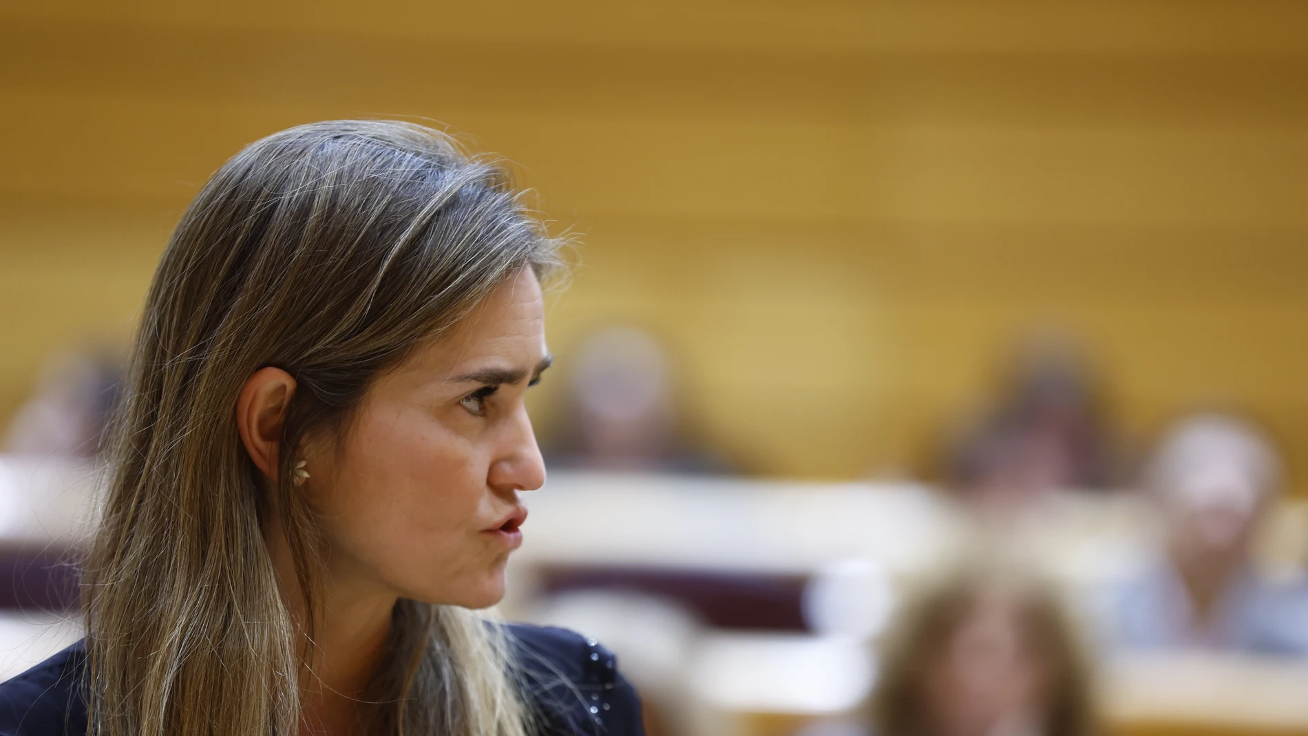Sara Aagesen en la sesión de control al Gobierno en el Senado.