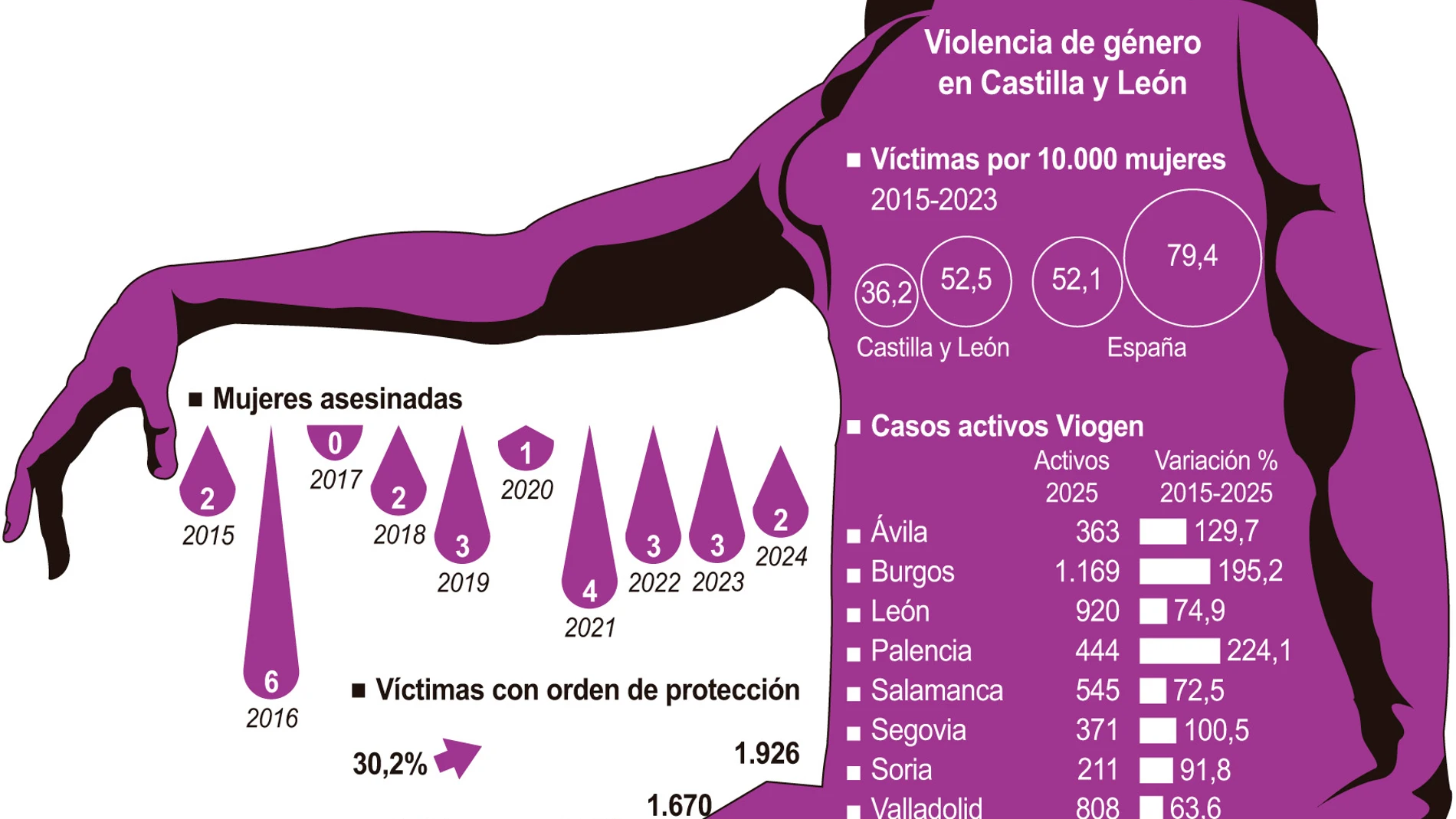 Datos de violencia de género en Castilla y León
