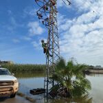 Un técnico revisa una torre eléctrica