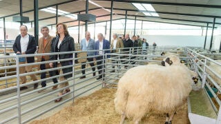La presidente de la Diputaci&oacute;n de Palencia, &Aacute;ngeles Armis&eacute;n, durante la &uacute;ltima Feria de la Raza Churra