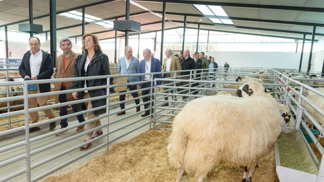 La presidente de la Diputación de Palencia, Ángeles Armisén, durante la última Feria de la Raza Churra