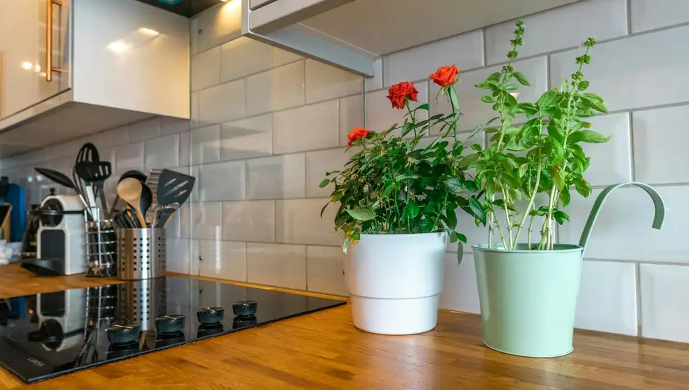 Cocina adornada con flores