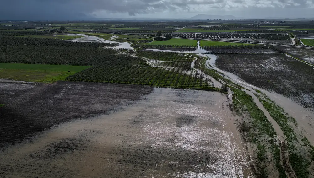 Piden que no se acerquen al río Guadaíra en Arahal (Sevilla) por nivel rojo de crecida