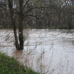 El caudal del río Henares ha alcanzado niveles que no tenía desde 1979 por las intensas lluvias 