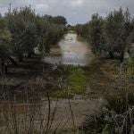 Campos anegados en Arahal (Sevilla)