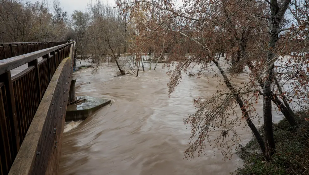 Crecida del río Henares