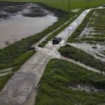 Campos anegados de agua en Arahal (Sevilla)