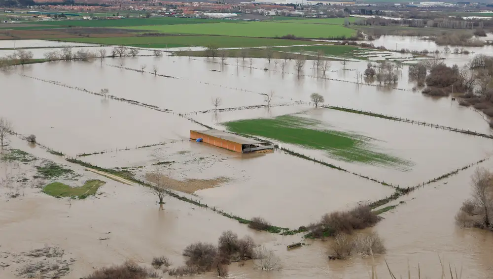 Situación en Rivas Vaciamadrid