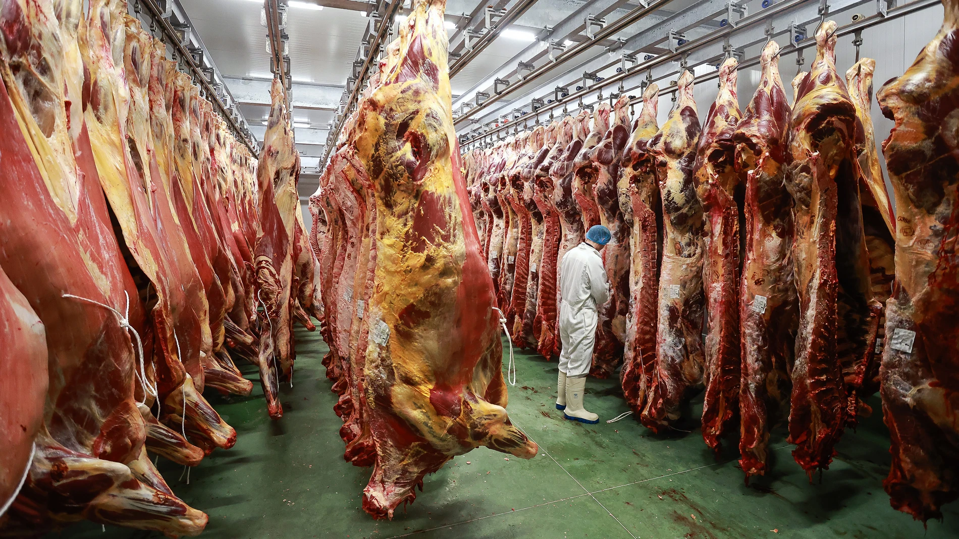 un trabajador de Carpisa Foods en las instalaciones del matadero en Ciudad Rodrigo (Salamanca)