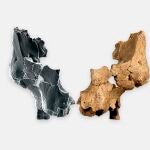 Hallan en Atapuerca la cara humana más antigua conocida de Europa occidental, datada entre 1,1 y 1,4 millones de años