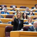 La portavoz del PP en el Senado, la abulense Alicia García, durante una intervención en la Cámara Alta