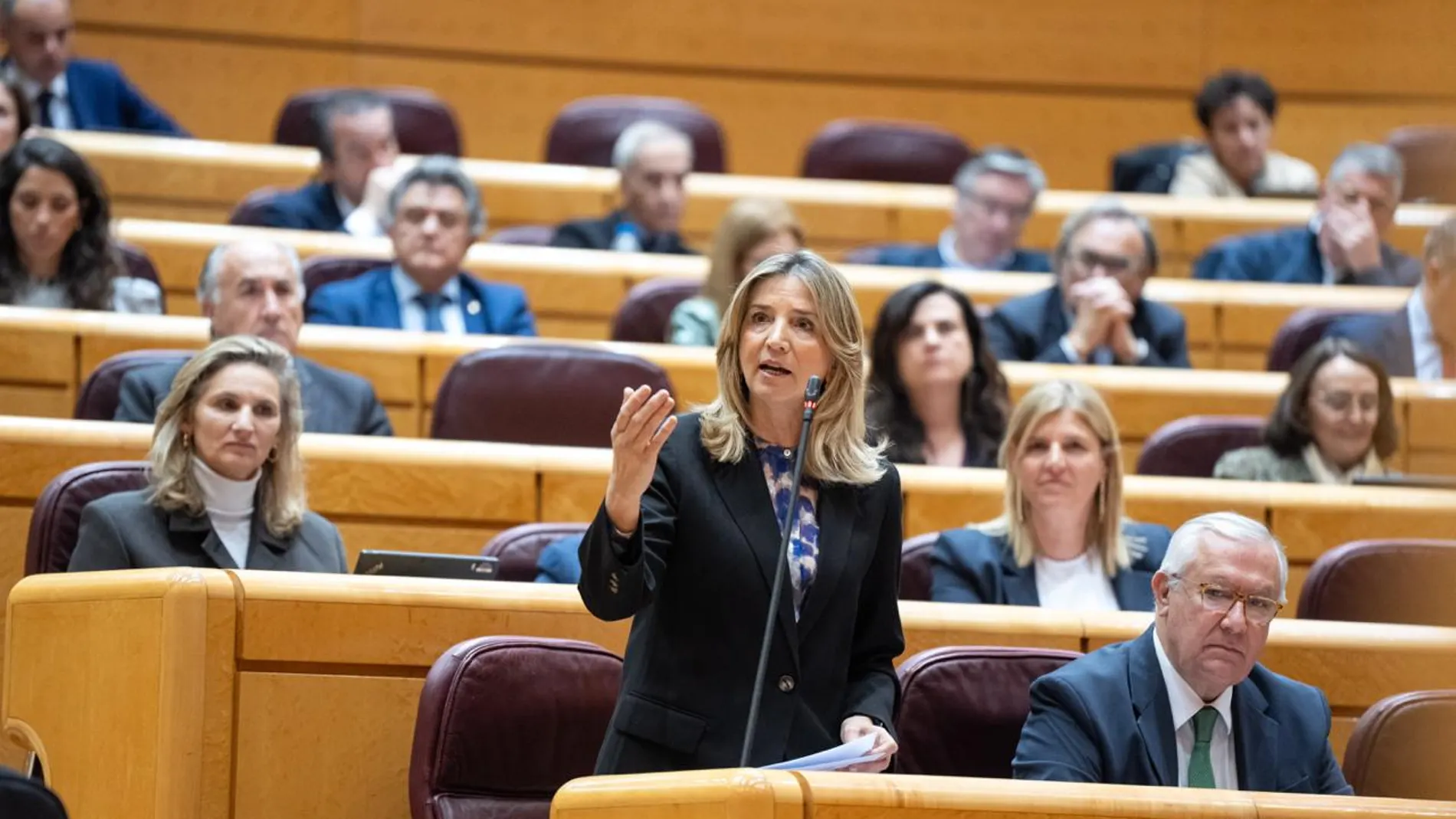 La portavoz del PP en el Senado, la abulense Alicia García, durante una intervención en la Cámara Alta