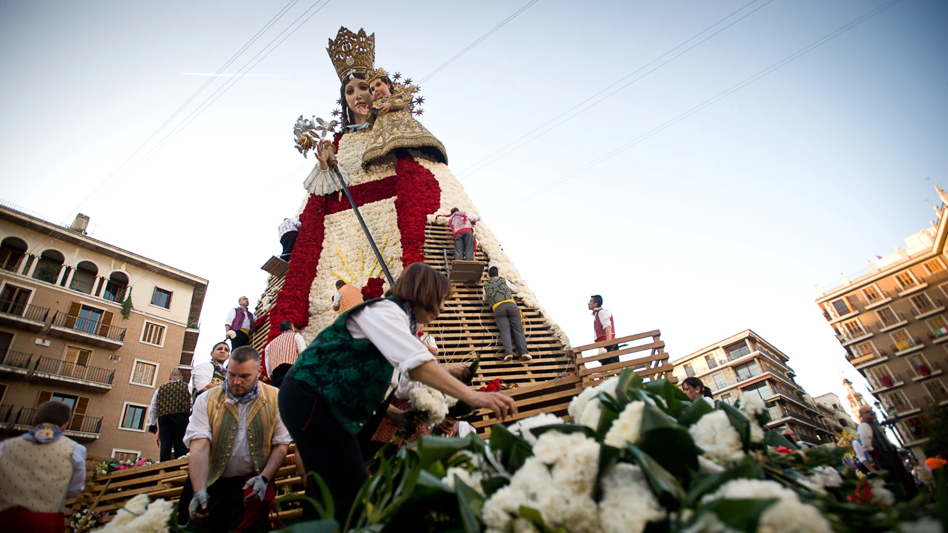 Los claveles son idóneos para hacer el manto de la Virgen