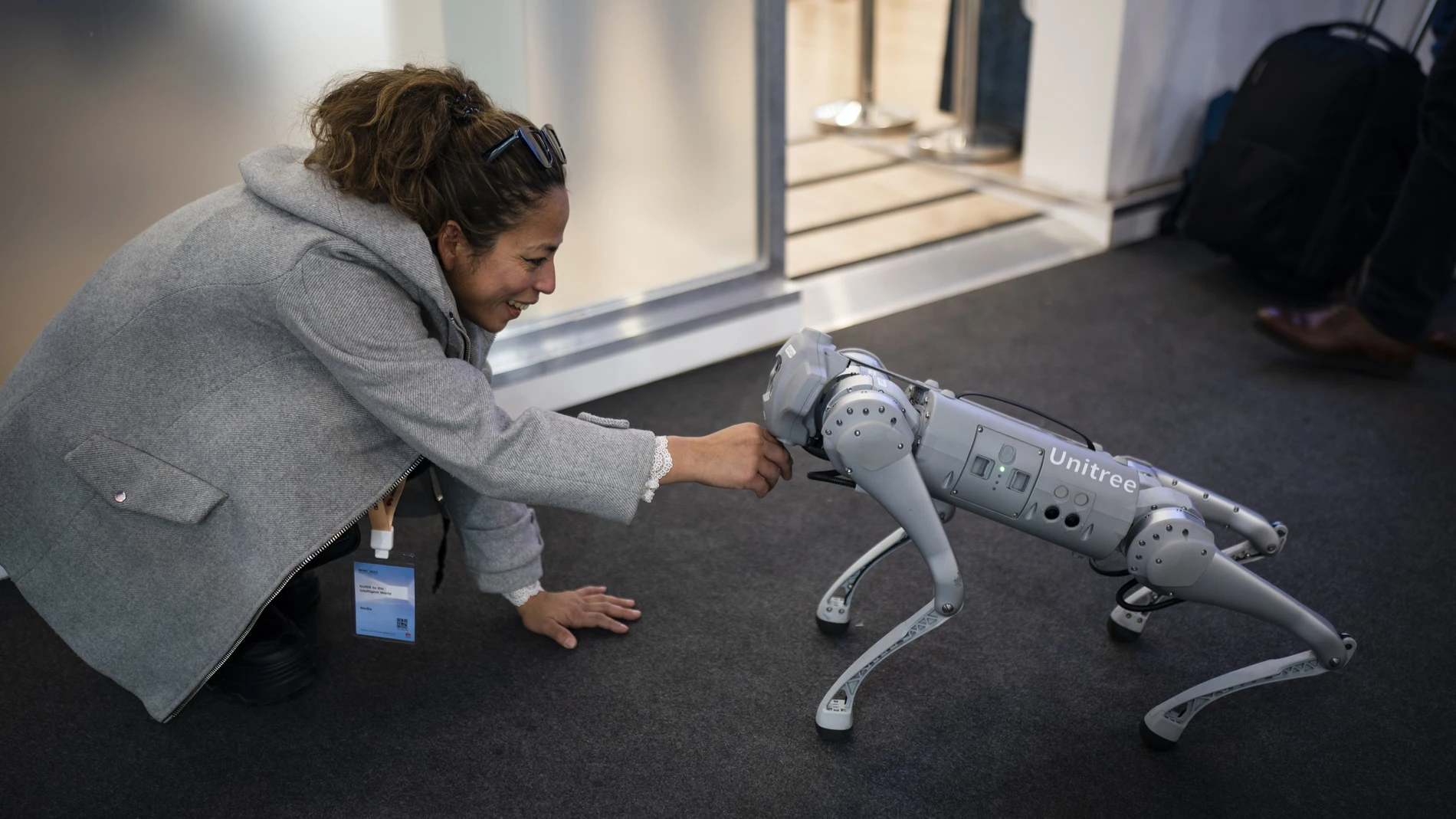 Perro robot