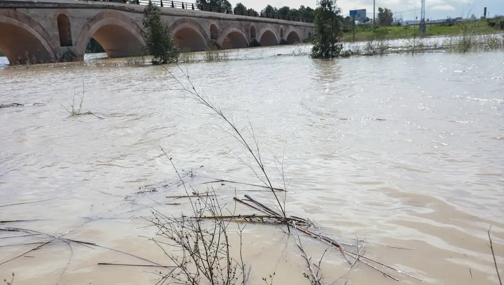 Temor al desbordamiento del río Guadalete en Jerez: desalojadas 200 personas