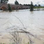 Temor al desbordamiento del río Guadalete en Jerez: desalojadas 200 personas