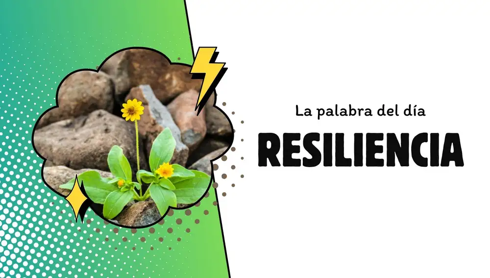 Palabra del día 17 de marzo