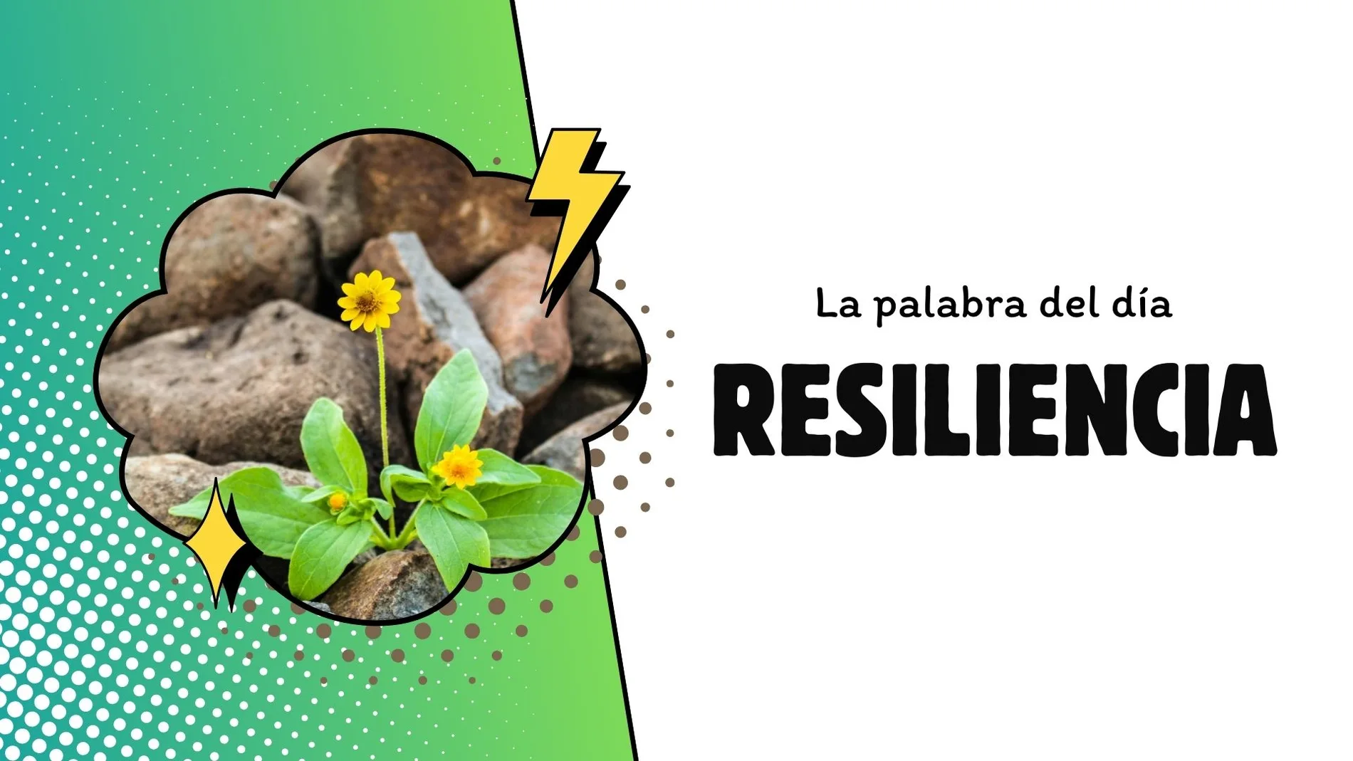 Palabra del día 17 de marzo