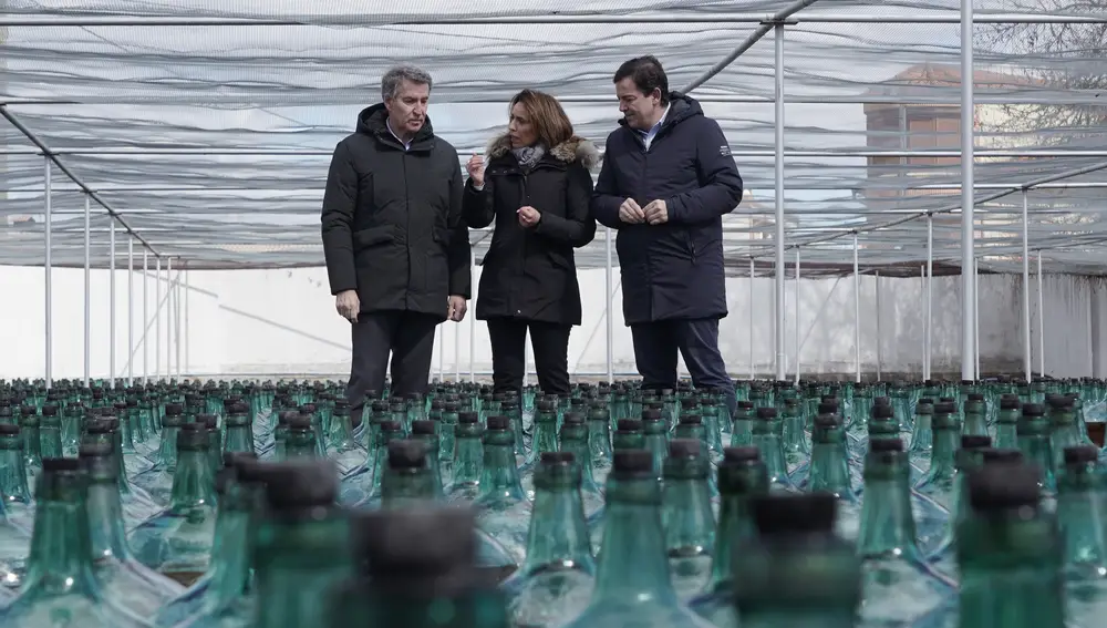 Fernández Mañueco y Núñez Feijoo durante la visita a la bodega