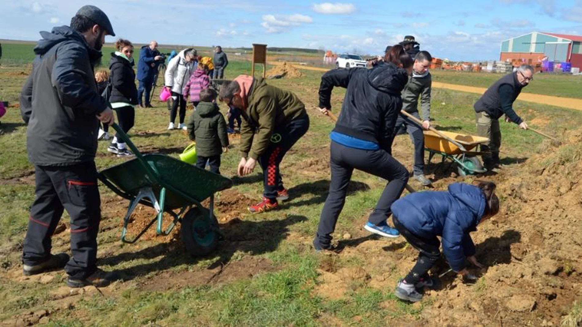 Calzadilla de los Hermanillos (León) pone la semilla de su ‘Bosque de los sueños’ con la plantación de 120 robles