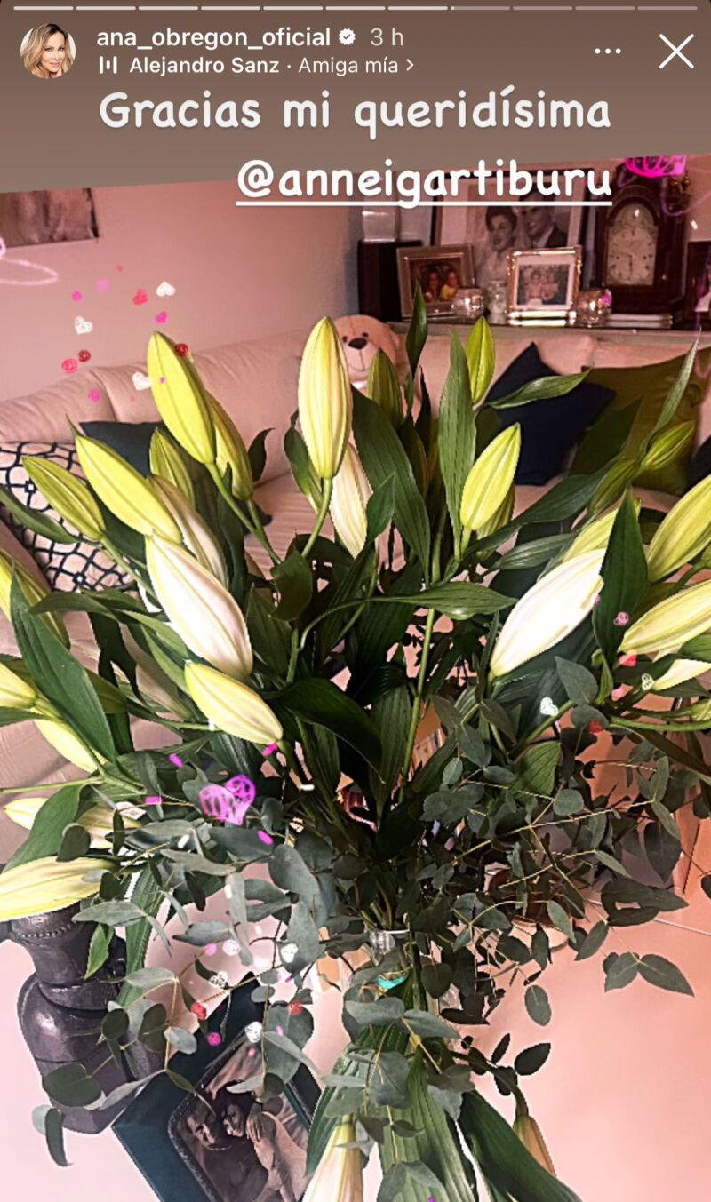 El regalo de Anne Igartiburu a Ana Obregón por su 70 cumpleaños