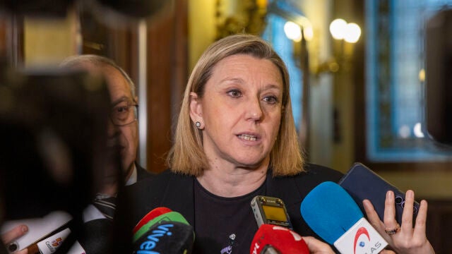 La vicepresidenta y consejera de Familia e Igualdad de Oportunidades, Isabel Blanco
