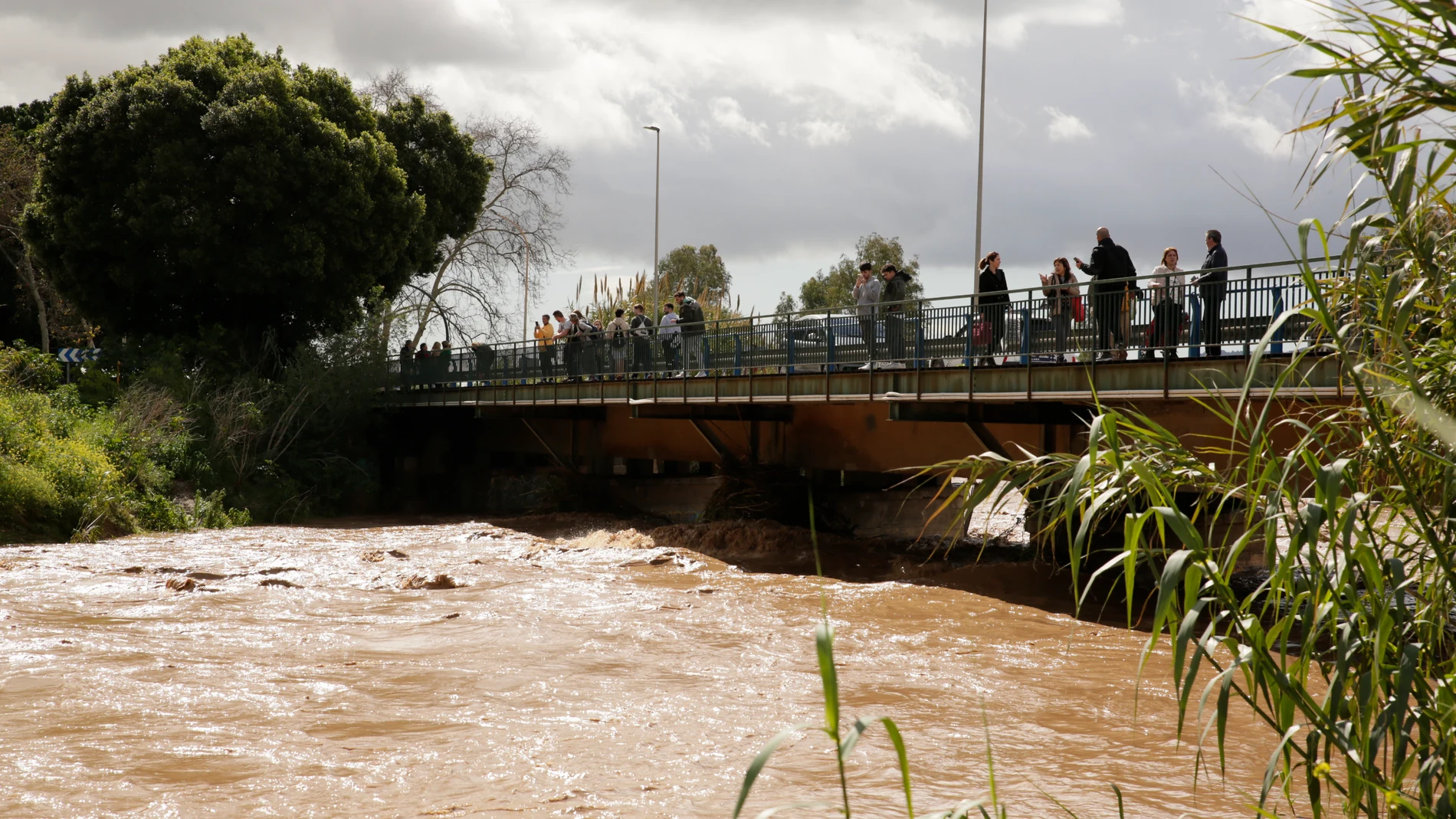 Crecida del río Guadalhorce a su paso en Cártama. A 18 de marzo de 2025, en Málaga (Andalucía, España). Andalucía acumula a primera hora de este martes 18 de marzo un total de 19 ríos en nivel rojo, 14 de ellos en la cuenca del Guadalquivir, por el elevado nivel de caudal tras las lluvias acumuladas durante las horas, que han obligado a realizar incluso rescates en helicóptero en la localidad malagueña de Cártama por la subida del río Guadalhorce que se suman a los desalojos preventivos reali...