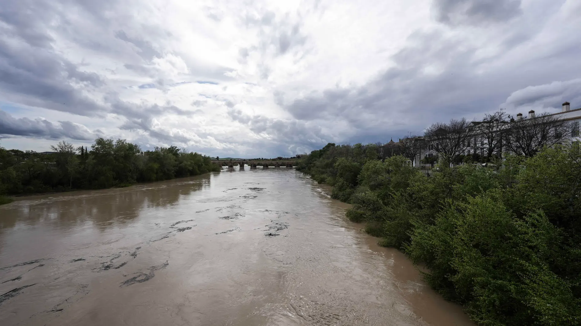 Alerta por el crecimiento del río Guadalquivir a su paso por Córdoba: riesgo de desbordamiento