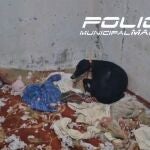 Rescatan un galgo en estado de abandono total en un trastero de Usera