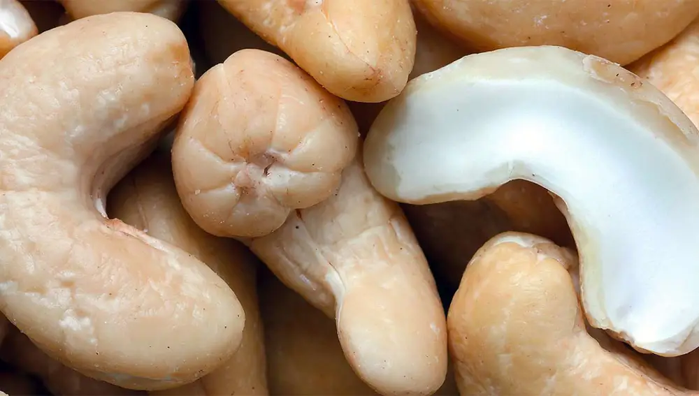 Anacardos, el fruto seco que debes comer para controlar el azúcar en sangre