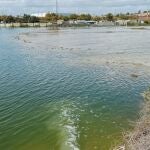 Huelva.-Organizaciones ecologistas y partidos denuncian vertidos de las balsas de fosfoyesos al estuario por las lluvias