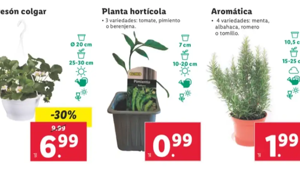 Huerto urbano Lidl