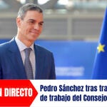 Pedro Sánchez tras la sesión de trabajo del Consejo Europeo