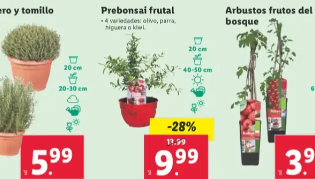 Arboles Frutales Lidl