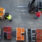 Los bancos de alimentos catalanes celebran la nueva ley contra el desperdicio alimentario