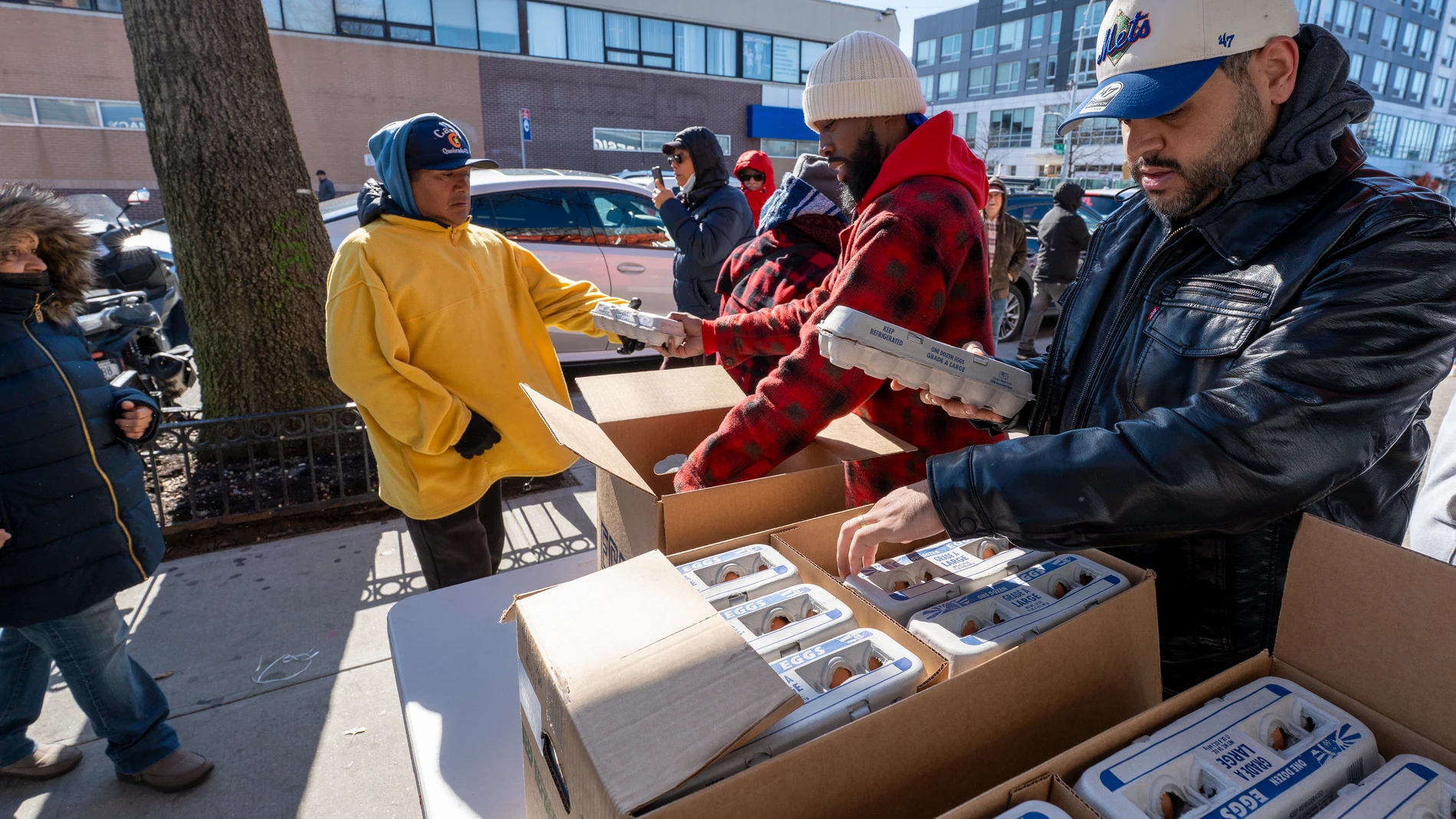 AME1226. NUEVA YORK (ESTADOS UNIDOS), 21/03/2025.- Personas reparten huevos este viernes, en Nueva York (Estados Unidos). Un reparto benéfico de huevos en el barrio de Queens en Nueva York terminó en apenas 5 minutos ante la masiva demanda de personas que se presentaron e hicieron cola durante varias horas en una mañana de viento gélido. EFE/ Angel Colmenares