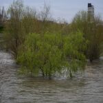 Cortado el ramal que une la M-30 a la M-40 en sentido A-6 por la subida del nivel del río Manzanares