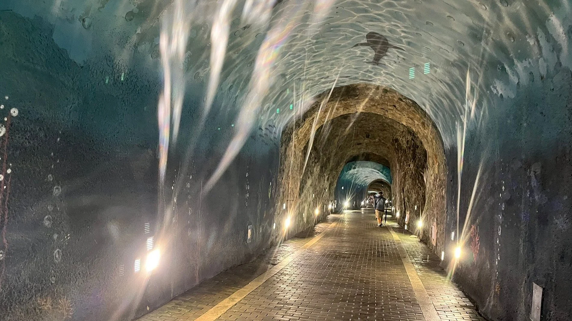 El túnel mágico de Cantabria que te lleva a un acuario, cruza la montaña y acaba en la costa