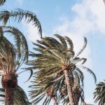 Canarias, en prealerta por viento muy fuerte con rachas de hasta 80 kilómetros por hora desde las 18:00 horas