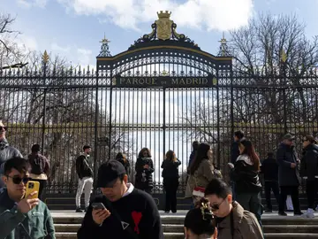 El parque de El Retiro estuvo cerrado el fin de semana por la previsión de mal tiempo en Madrid. El parque de El Retiro continua cerrado por la previsión de mal tiempo en Madrid.