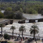 Talavera (Toledo) amanece consternada por el derrumbe del puente, un símbolo de la ciudad