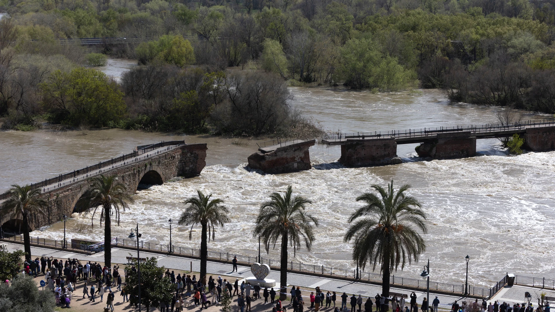 TALAVERA DE LA REINA, 23/03/2025.-Vista del puente viejo derrumbado por la crecida del río Tajo a su paso por Talavera de la Reina, este domingo. EFE/Manu Reino