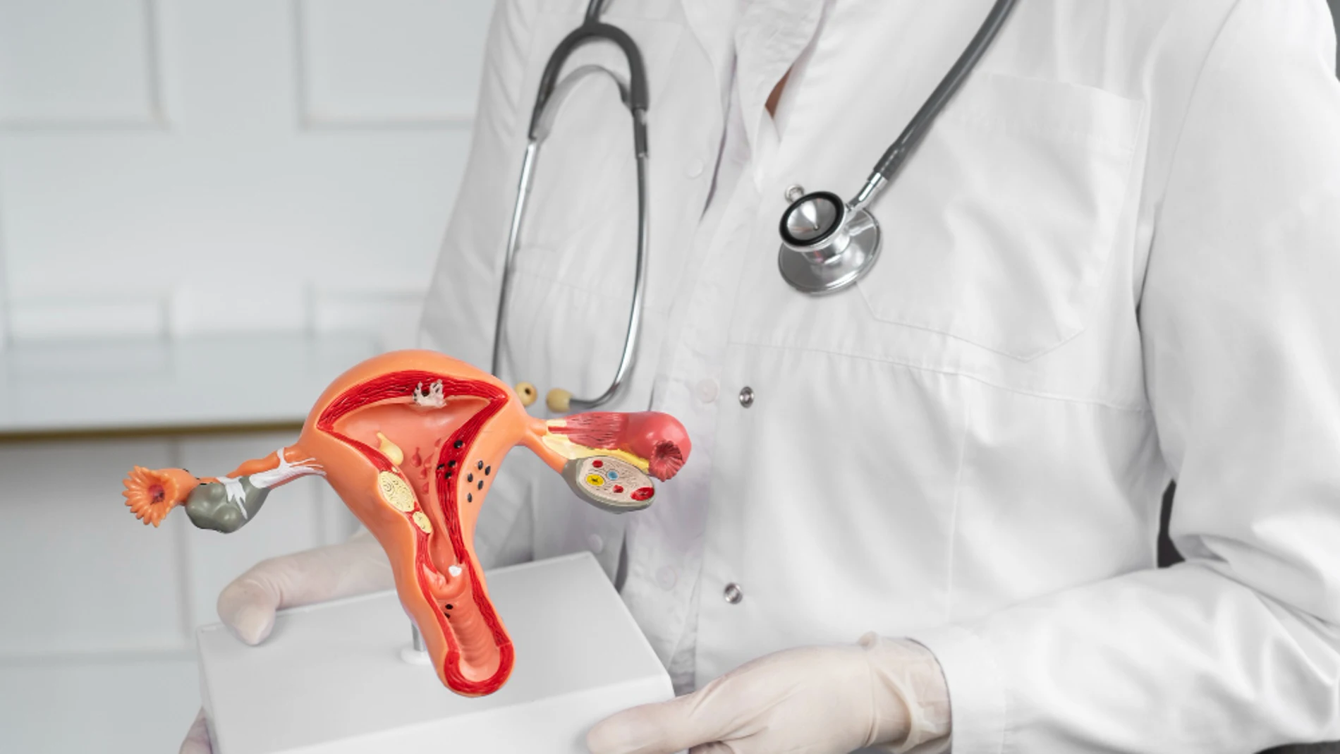 El cribado de cáncer de cérvix no cala entre las mujeres de Castilla y León: la participación cae un 17% pese a ser el cuarto tumor más frecuente