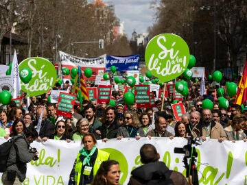 Manifestaci&oacute;n prov&iacute;da en contra del aborto con el lema S&iacute; a la Vida por el centro de Madrid.