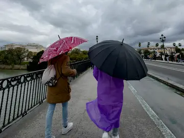 Día de lluvias en Sevilla SEEILLA, 23/03/2025.- Tras un mes de lluvias en Sevilla, los sevillanos viven con alegría el que anuncian será el último día de lluvia y que llevará a una semana donde los cielos despejados y la subida de temperaturas serán la dinámica. EFE/David Arjona